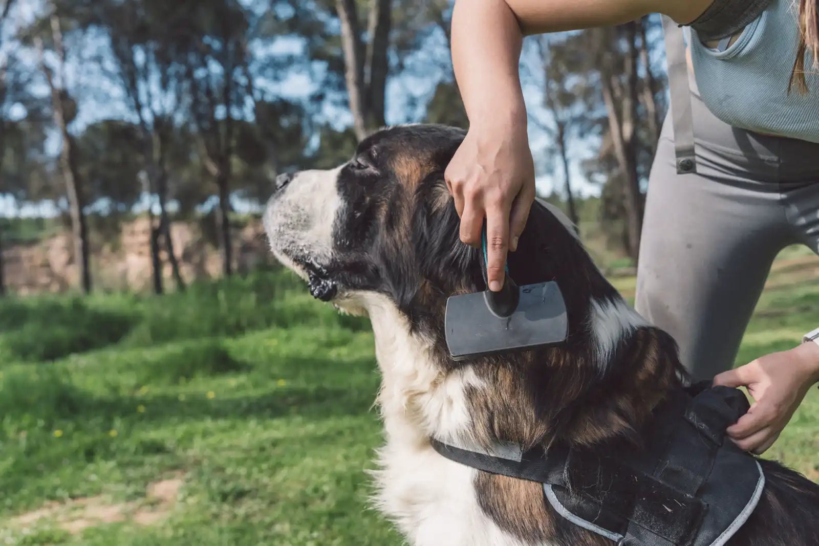 Operations & Mobility