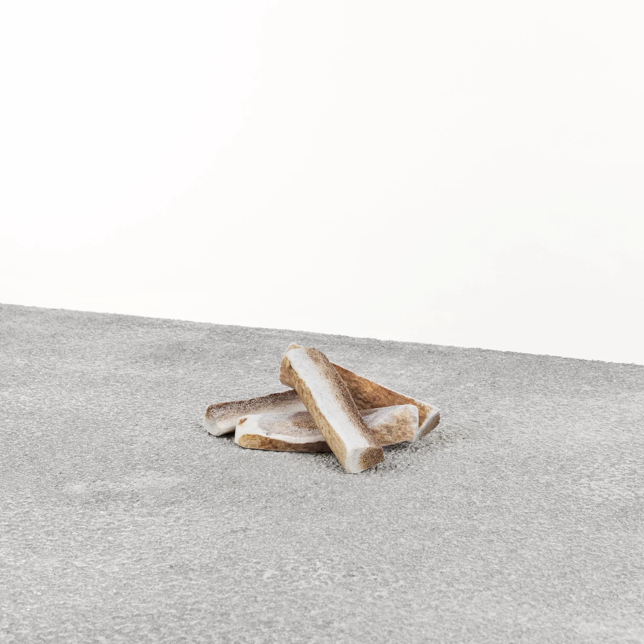 Primal Dog Elk Antler Small Default Title