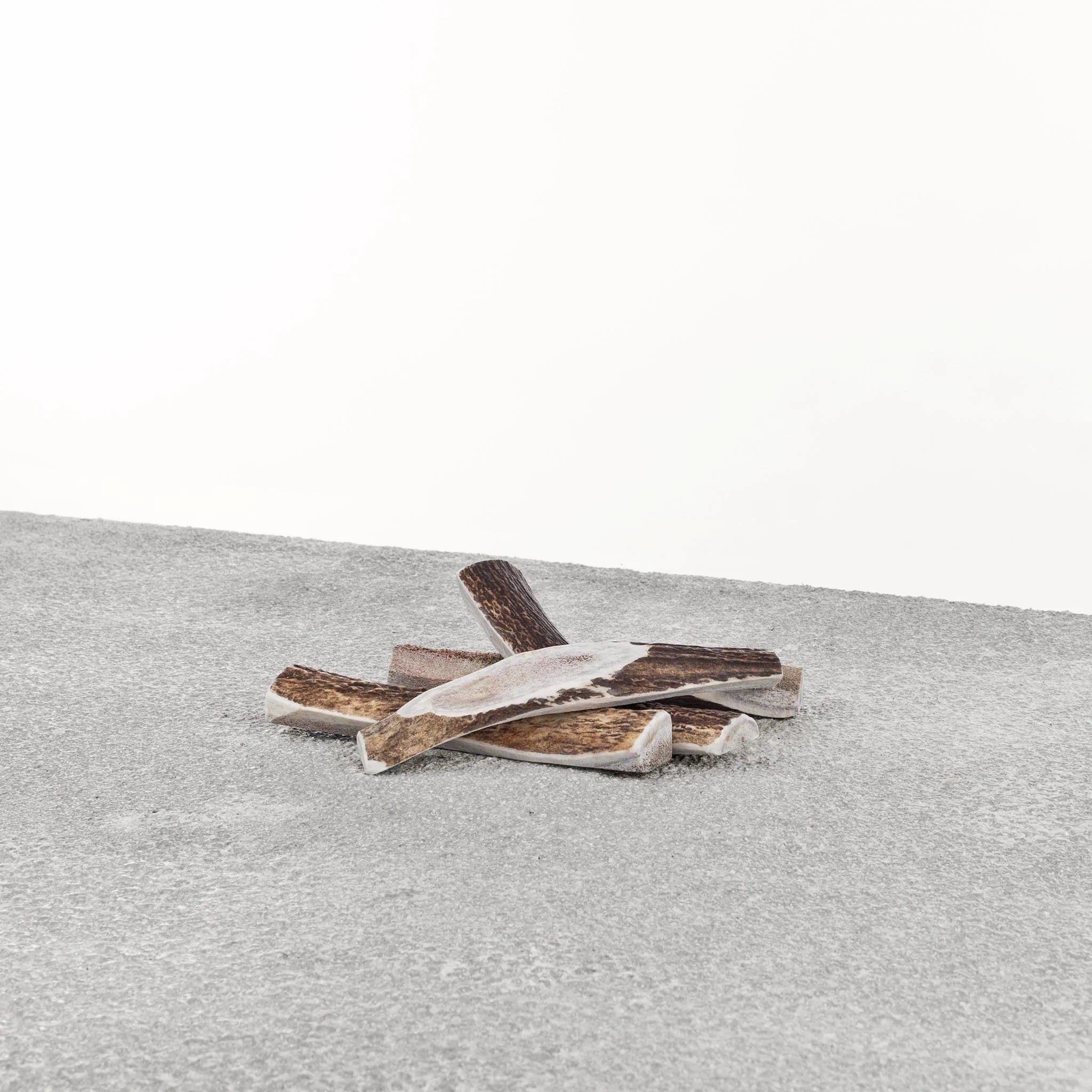Primal Dog Stag Antler Medium Default Title