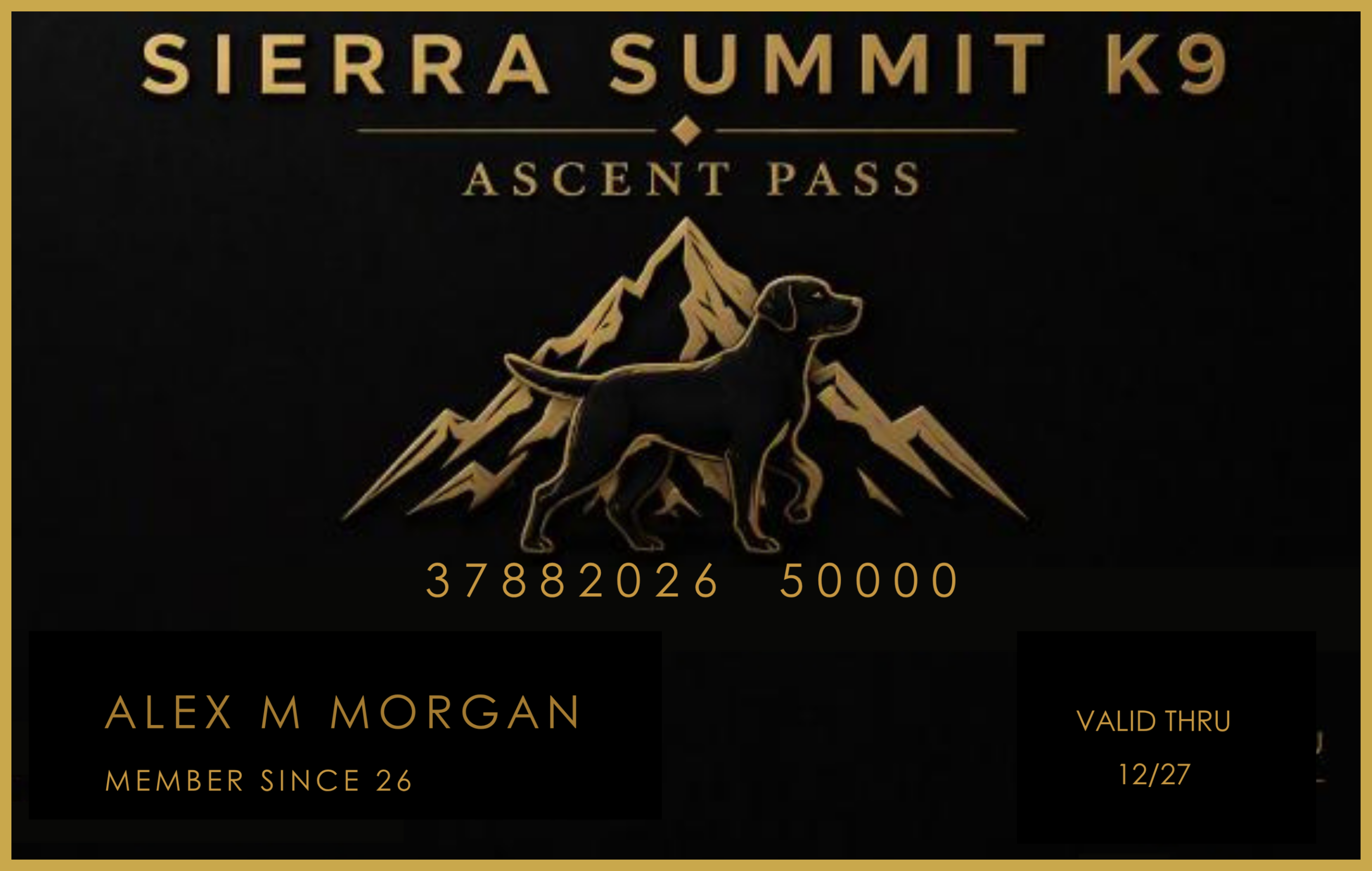 Ascent Pass | Summit Circle Collective