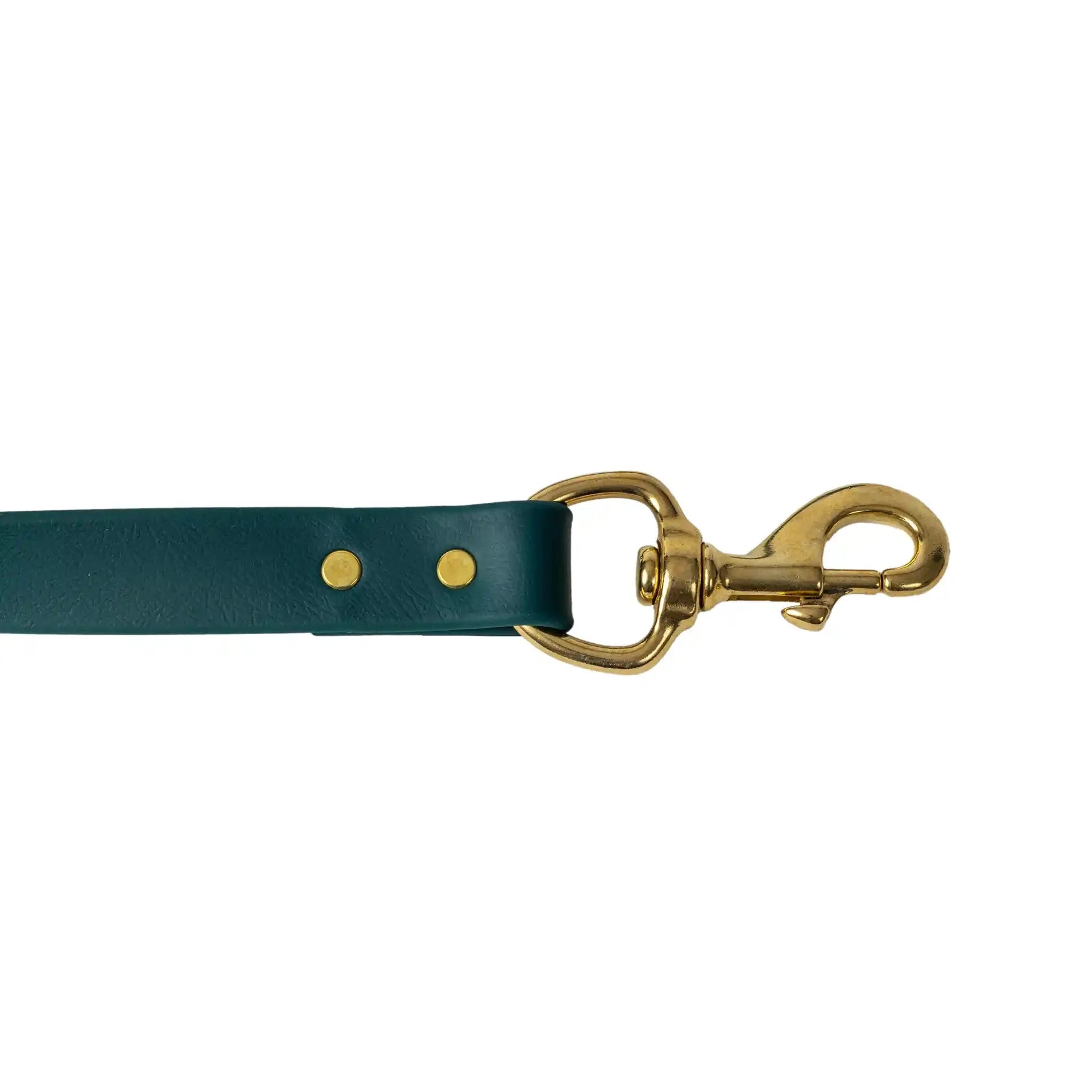 Barrows Dog Leash - Green