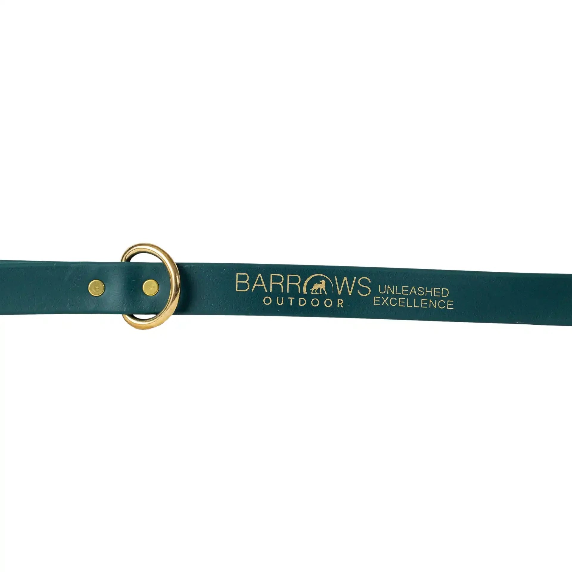 Barrows Dog Leash - Green