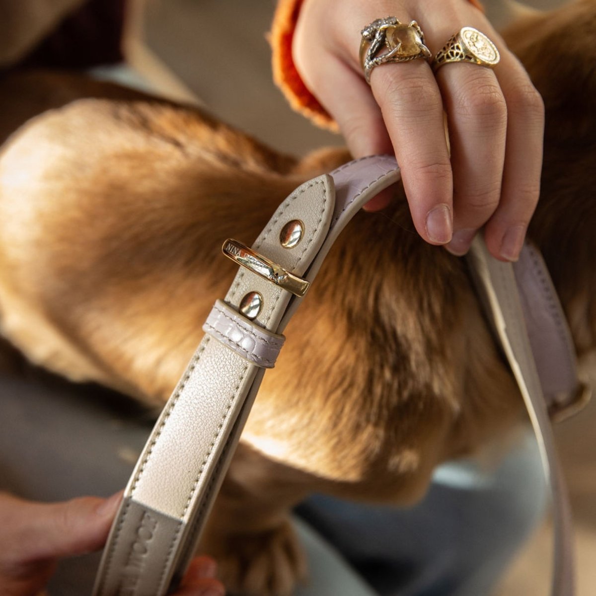 Leash 4ft - Vegan Leather