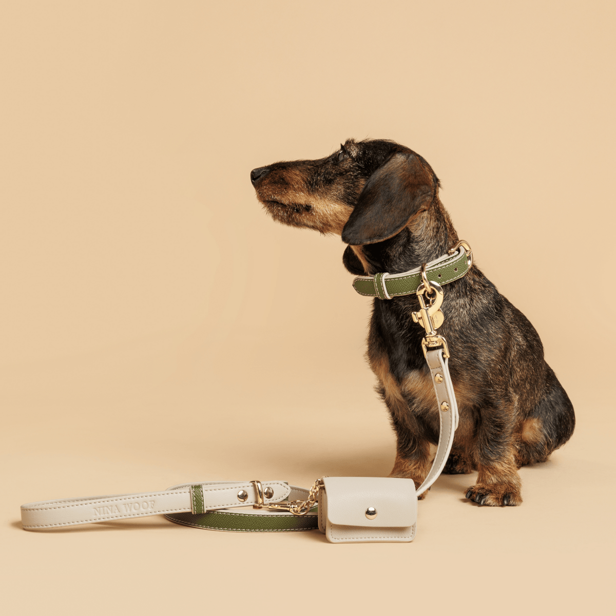 Leash 4ft - Vegan Leather